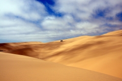 The Namib Desert